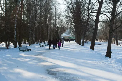 Зимний Павловск в объективе: Искусство зимней красоты