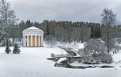 Зимний Павловск: Красота природы в PNG