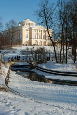 Уникальные моменты: Павловск в зимнем наряде
