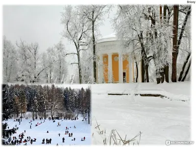 Фотографии Павловска зимой: Уютные уголки природы