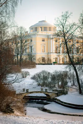 Зимний взгляд на Павловск: Фотография зимнего чуда