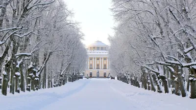Павловск зимой: Фотографии заснеженных архитектурных шедевров