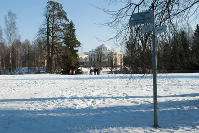 Загадочные уголки: Фотографии Павловска зимой