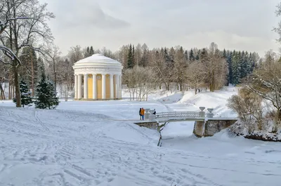 Загадочная зима Павловского: фотографии в высоком разрешении