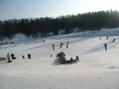 Морозное великолепие: скачивайте фото Павловского парка в PNG