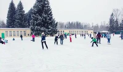 Зимний пейзаж Павловского парка: живопись в каждом кадре