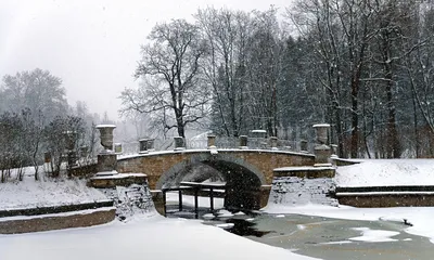 Волшебство снегопада: JPG фотографии для вашего выбора