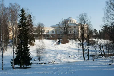 Исследуйте зимнюю атмосферу Павловского парка через объектив камеры