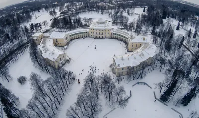 Фризовые картины зимнего Павловского парка: скачивайте PNG изображения