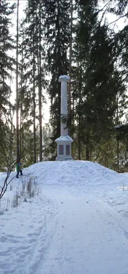 Снежные аллеи и пруды: фотографии Павловского парка в WebP