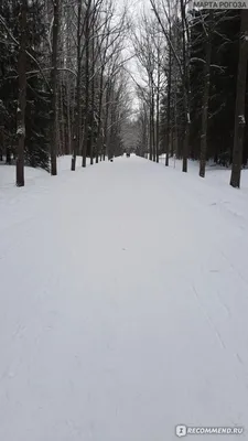 Зимний фотокалейдоскоп Павловского парка: PNG изображения для скачивания