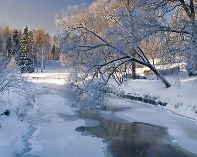 Сказочная зима в объективе: PNG изображения для вашего выбора