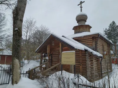 Зимние картины Павловского: выбирайте фотографии в высоком разрешении