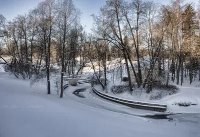 Фотографии зимнего уюта в Павловском парке: выберите свой формат