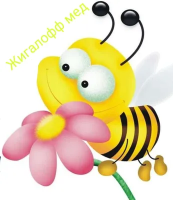 Фото пчелы на цветке - красочное изображение для скачивания