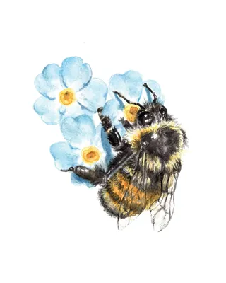 Волшебное фото: пчела на цветке