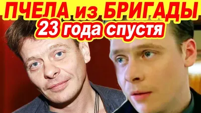 Картинка пчелы с макро съемкой