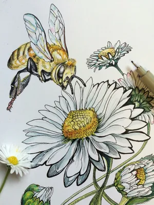 Фотографии пчел на цветах: волшебный мир