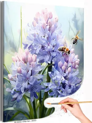 Фотографии пчел на цветах 4K