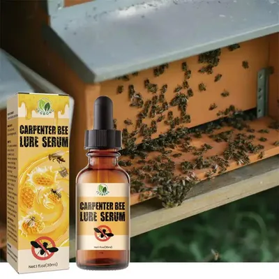 Фотография пчелы с пыльцой
