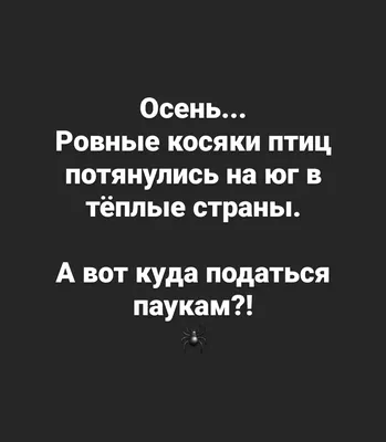 Изображения с надписью бесплатно