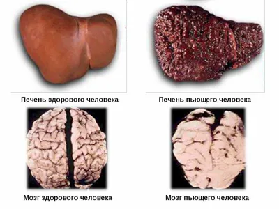 3. Фото: искусство пить печенью в разных ракурсах