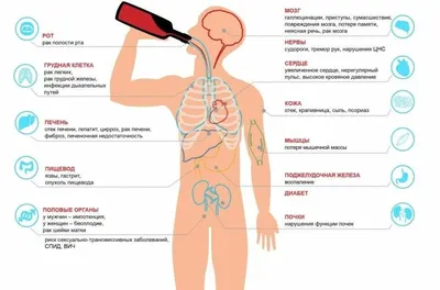 20. Человек и печень: захватывающие моменты в разрешении по вашему выбору