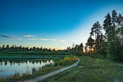 Очарование природы: фотографии пейзажей в HD