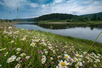 Фото реки в формате WebP - скачать бесплатно