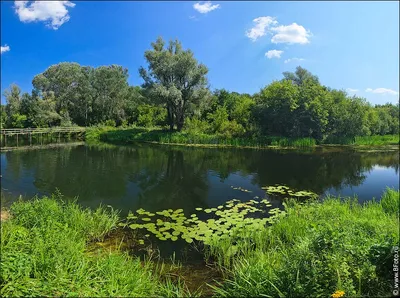 Природная красота: фото пейзажа с живописной рекой