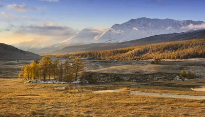 Фотоальбом Пейзажей Алтая: Бесплатные снимки в высоком разрешении.