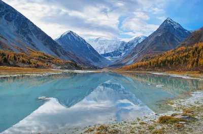 Фотогалерея Алтайских пейзажей: Открой для себя красоту региона.