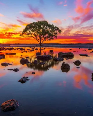 Пейзажи Австралии в Full HD: Разнообразие красоты на ваш выбор.
