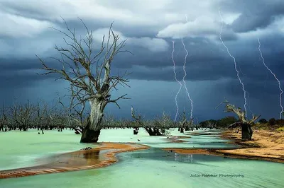 Впечатляющие Фотографии Австралийской Природы: Скачайте 4K изображения.