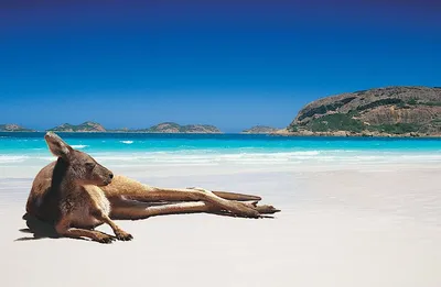 Пейзажи Австралии в 4K: Изысканные виды для вашего экрана.