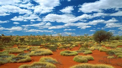 4K фотографии природы Австралии: качество на высоте