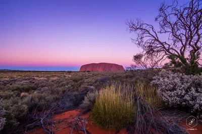 Фоны с Австралийскими Пейзажами: Великолепие природы на вашем столе.
