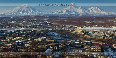 Фотографии Камчатки: Встреча с дикой природой