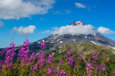 Фотографии арт-качества природы Камчатки: изысканные фоны