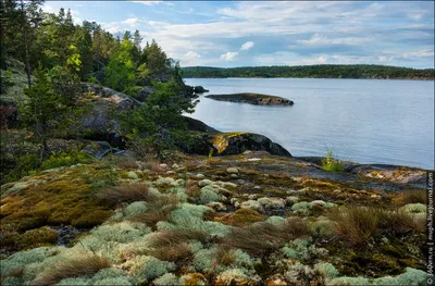 Пейзажи карелии  фото