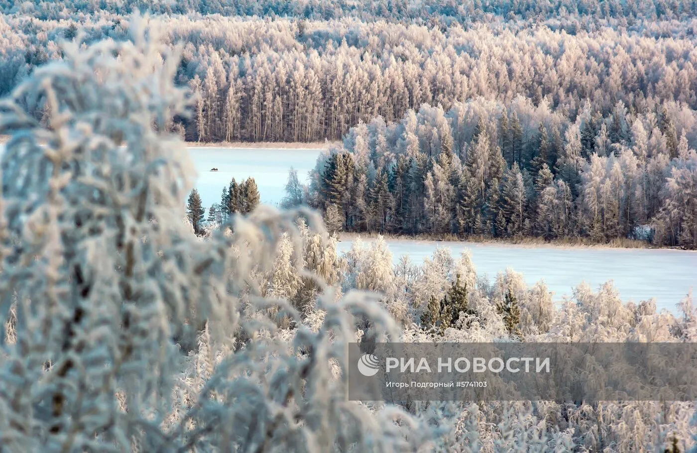 Делянка Карелия зимой