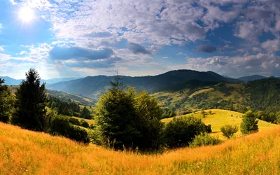 Живописные краски осени в Карпатах: Фотоотчет