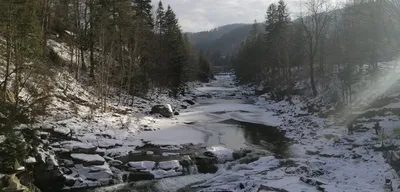 Прекрасные поляны: Цветочные карпатские луга