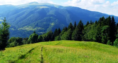 Фон с карпатскими горами: скачать бесплатно