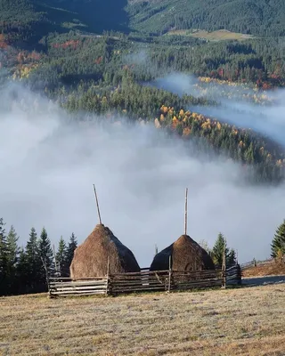 GIF-изображения природы Карпат: живописные моменты