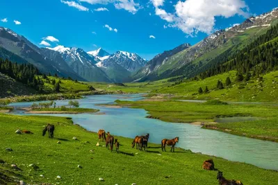 Пейзажи кыргызстана фотографии