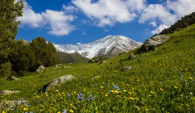 Фото кыргызстанских пейзажей в HD качестве