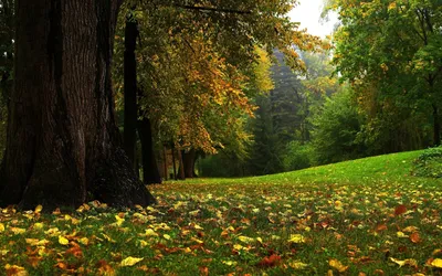 Фотографии Full HD: Осенние пейзажи с яркими красками