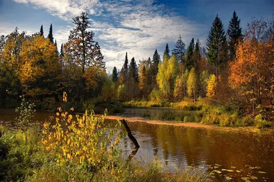 Пейзажи России: Невероятные виды для скачивания в 4K.