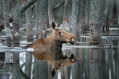 Водные миры России: фотопутеводитель по рекам и водопадам